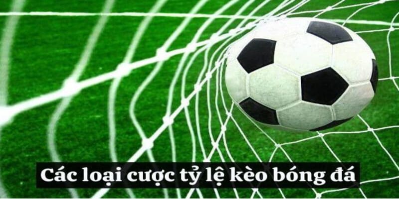 Cac loai cuoc trong ty le keo bong da