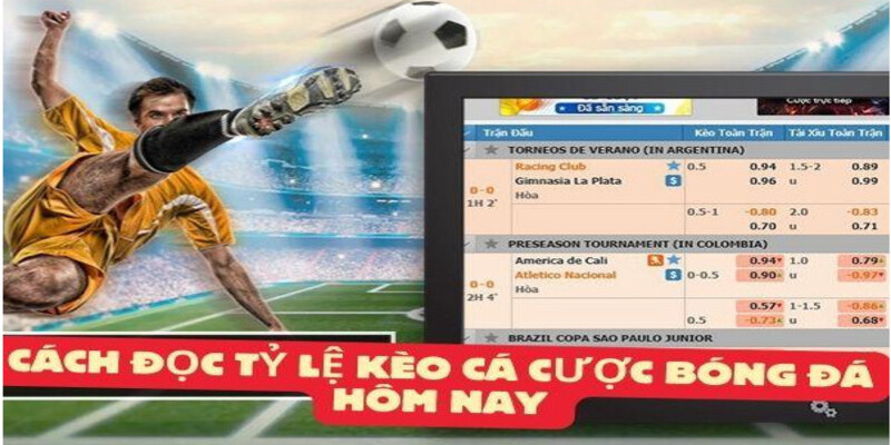 Cach doc ty le keo ca cuoc bong da hom nay tai nha cai chung toi