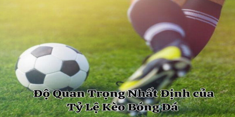 Do Quan Trong Nhat Dinh cua Ty Le Keo Bong Da
