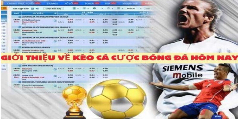Gioi thieu ve keo ca cuoc bong da hom nay tai nha cai chung toi