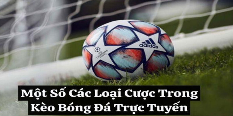 Mot So Cac Loai Cuoc Trong Keo Bong Da Truc Tuyen