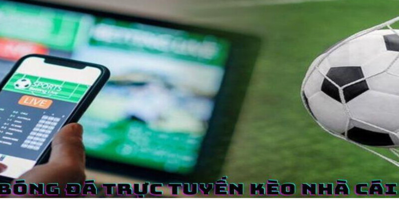 Mot So Luu Y Khi Tham Gia Bong Da Truc Tuyen Keo Nha Cai