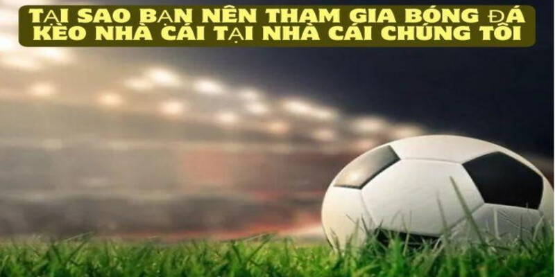 Tai Sao Ban Nen Tham Gia Bong Da Keo Nha Cai Tai Nha Cai Chung Toi