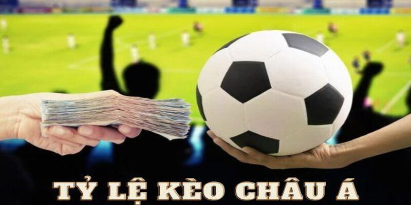 Tim Hieu Chi Tiet Ve Ty Le Keo Chau A la gi