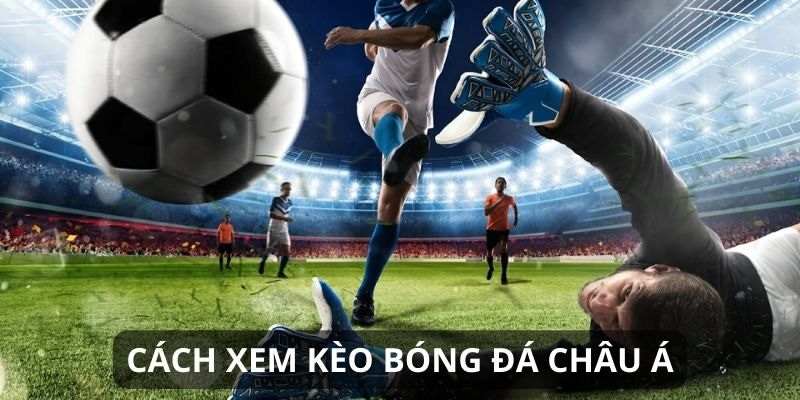 cach xem keo chau au 1 Học hỏi kỹ năng bên cạnh biết cách xem kèo Châu Âu để kiếm thưởng lớn