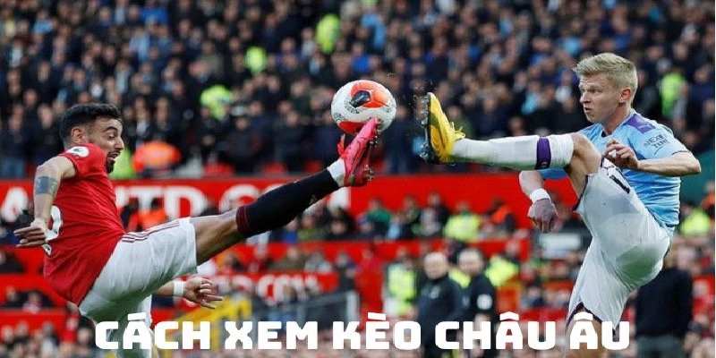 cach xem keo chau au 2 Chi tiết về cách xem kèo Châu Âu chuẩn xác nhất