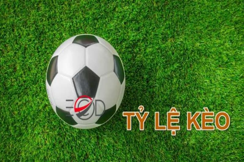 keo bong da 5 Cách tính kèo tỷ số kèo bóng đá