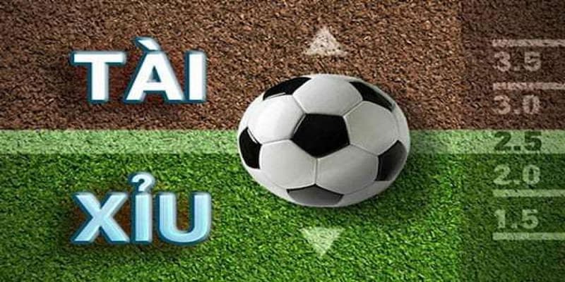keo bong trong cacuocbongda 1 Kèo tài xỉu Trên cacuocbongda