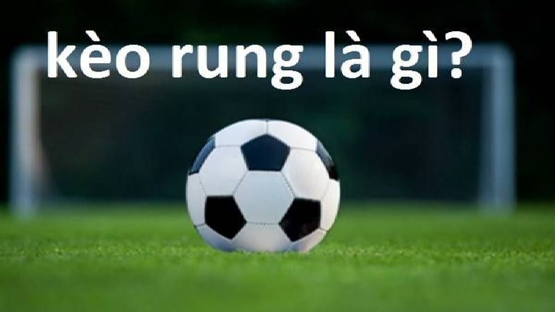 keo rung la gi 3 Thông tin giúp người chơi hiểu rõ về thuật ngữ kèo rung là gì?