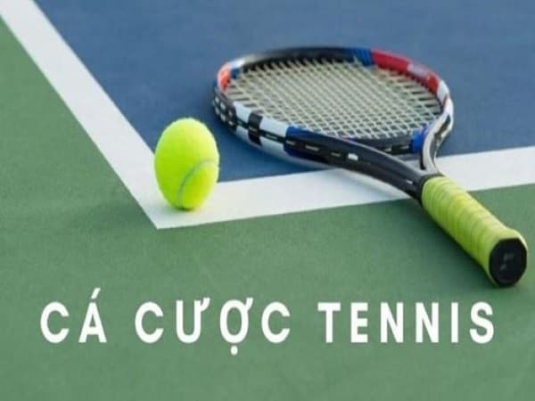 the thao trong cacuocbongda 2 Tỷ Lệ Thắng Cao
