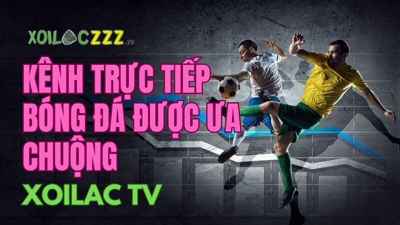 truc tiep bong da 1 Dự đoán kết quả bóng đá