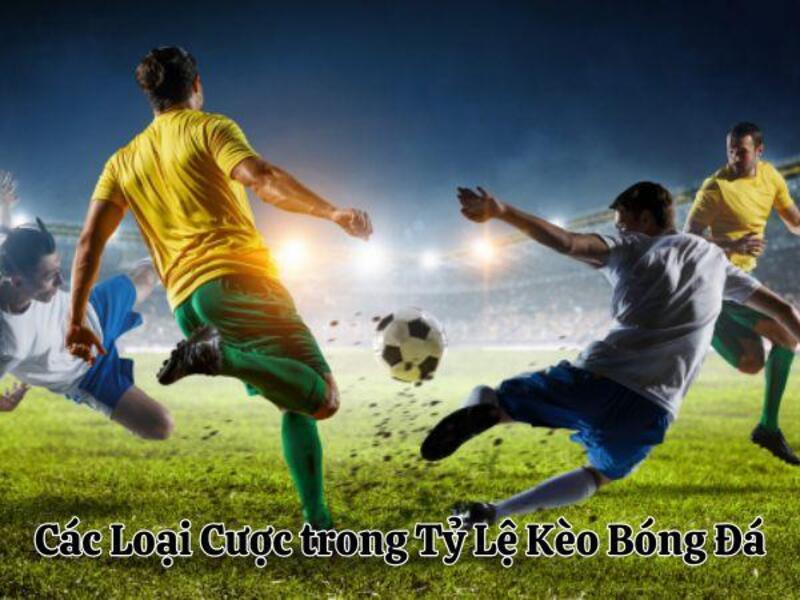 ty le keo bong da 2 Các Loại Cược trong Tỷ Lệ Kèo Bóng Đá
