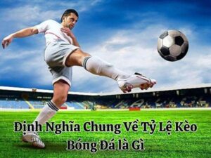 Định Nghĩa Chung Về Tỷ Lệ Kèo Bóng Đá là Gì