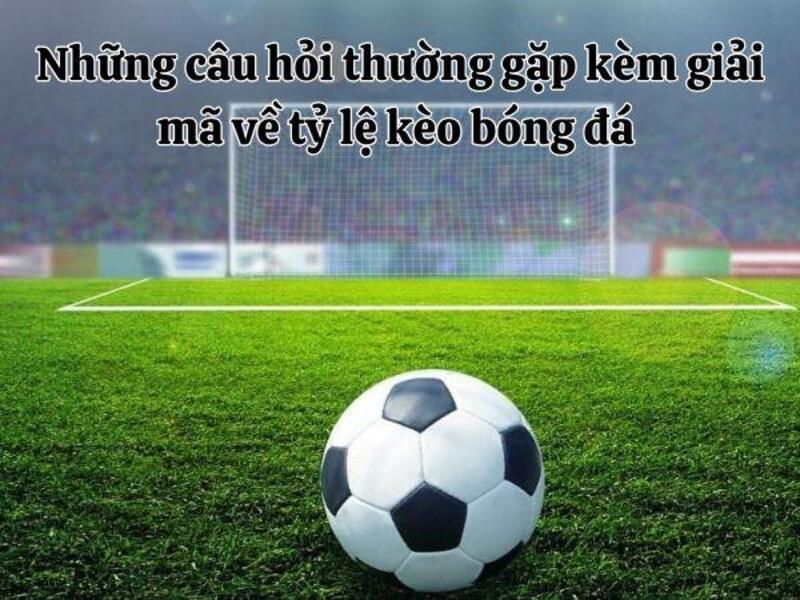 ty le keo bong da 5 Những câu hỏi thường gặp kèm giải mã về tỷ lệ kèo bóng đá